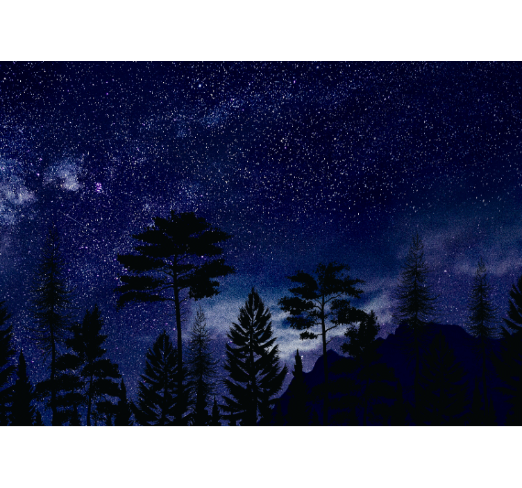 Colourful night sky galaxy Marriage Wall Murals - TenStickers