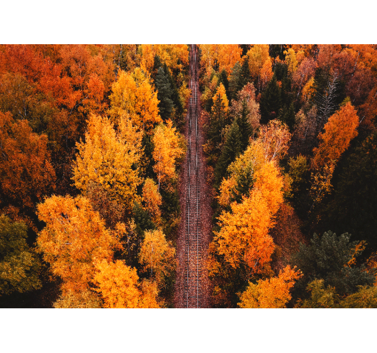 Landscape wall mural autumn woodland trail - TenStickers