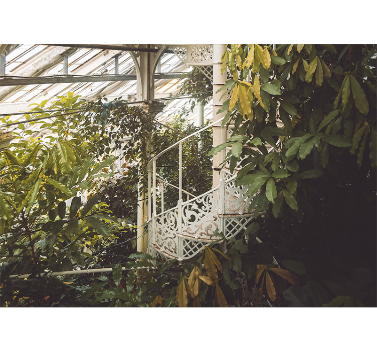 Nature wall mural lush greenery oasis - TenStickers