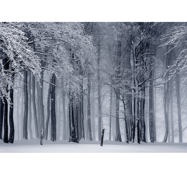 Snowy Tree Landscape forest wall mural - TenStickers