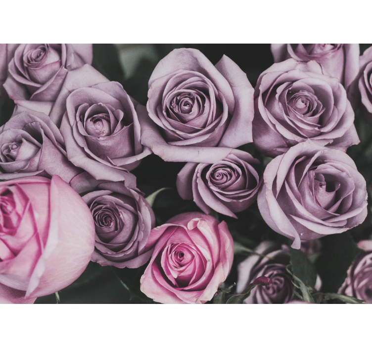 Flower wall mural lavender rose bouquet - TenStickers
