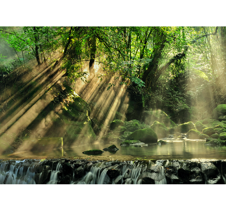 Sunlit Forest Stream nature wall mural - TenStickers