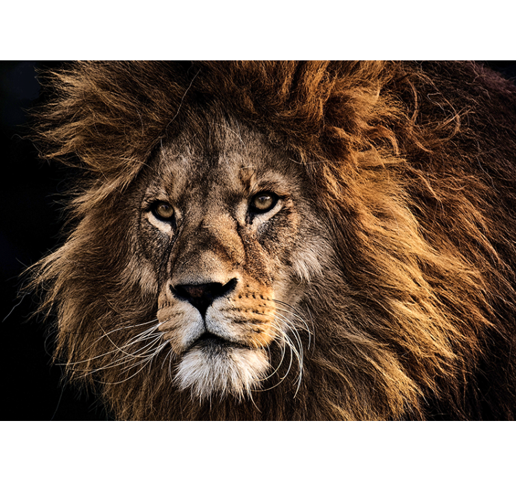 Lion wall mural majestic lion artwork - TenStickers