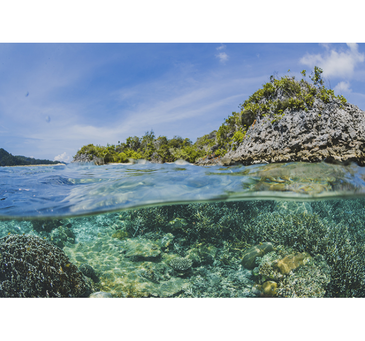 Underwater profile sea wall mural - TenStickers