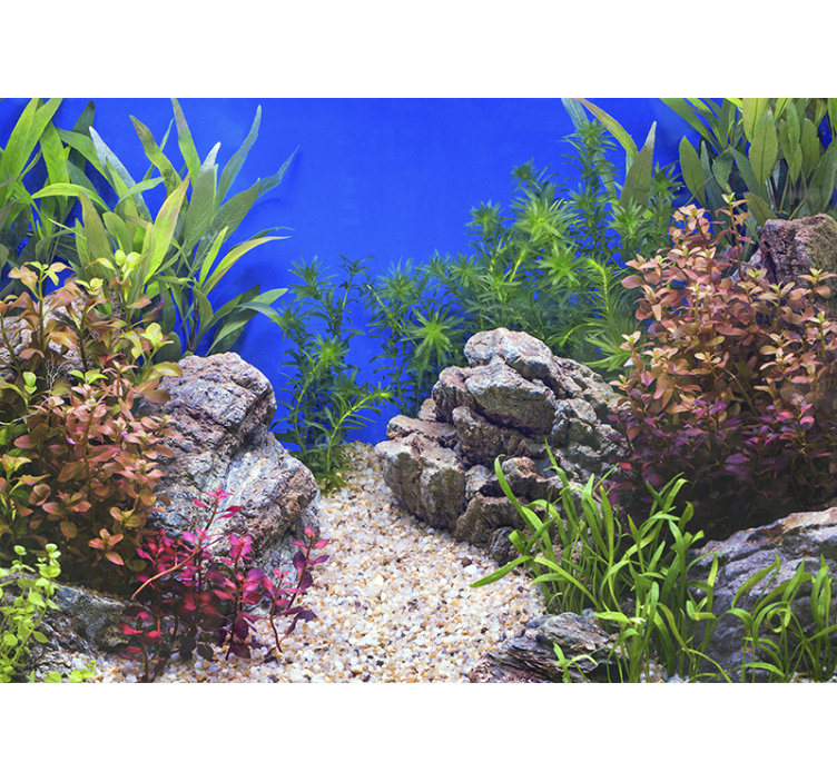 Aquatic Landscape nature wall mural - TenStickers