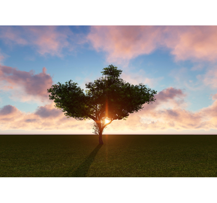 Tree wall mural sunlit solitary tree - TenStickers