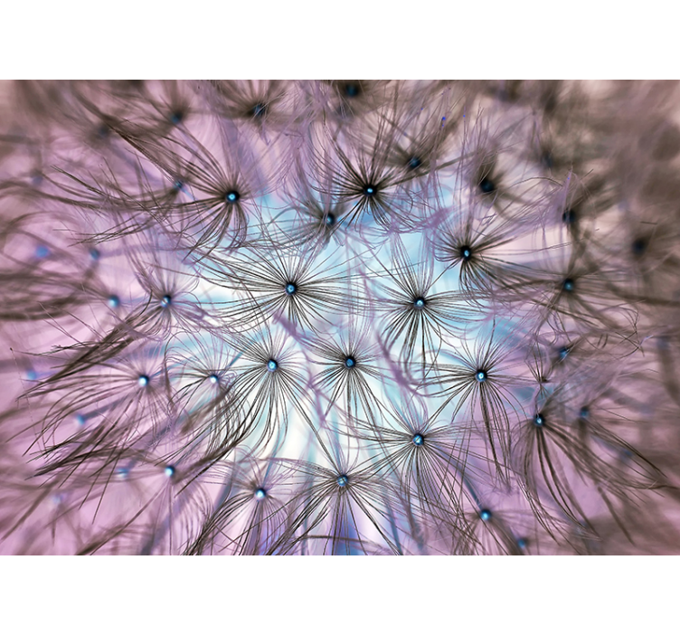 Inside Dandelion Nature Wall Mural - TenStickers