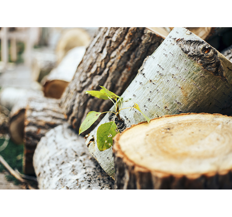 Forest wall mural wood logs arrangement - TenStickers