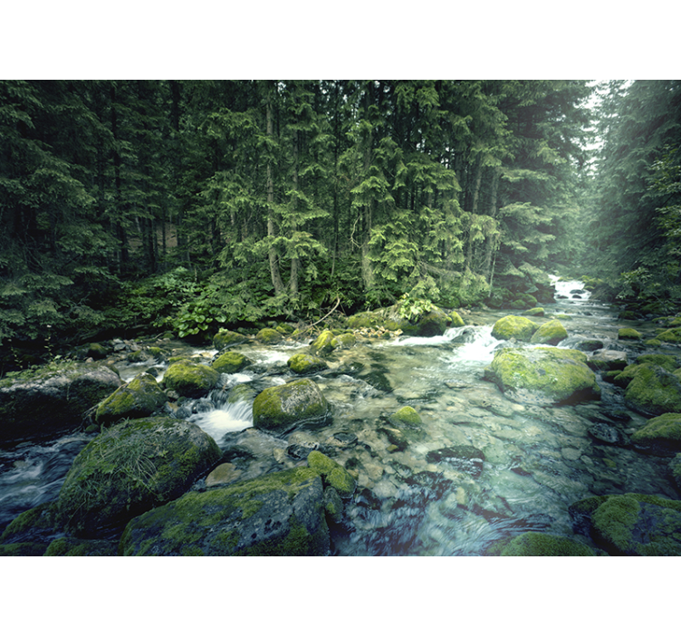 Leafy forest and river Photo Wall Mural - TenStickers