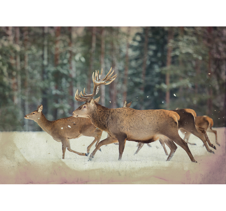 Deers in the forest wall mural - TenStickers