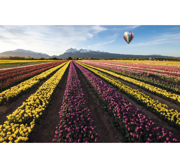Colorful Tulip Fields flower wall mural - TenStickers