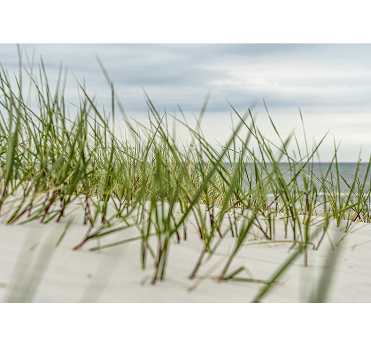 Coastal Dune Tranquility ocean wall mural - TenStickers