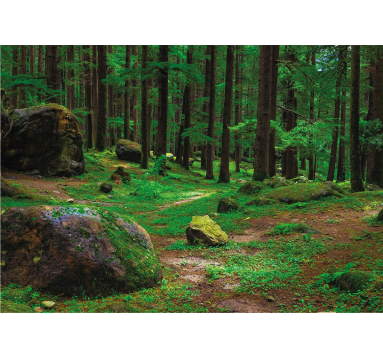 Lush Green Place forest wall mural - TenStickers