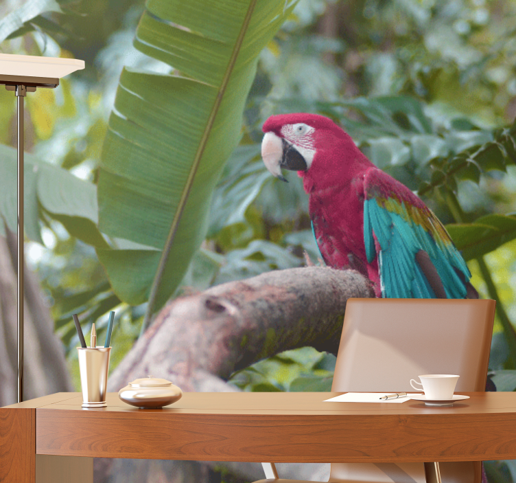 Animal wall mural colorful macaw parrot - TenStickers