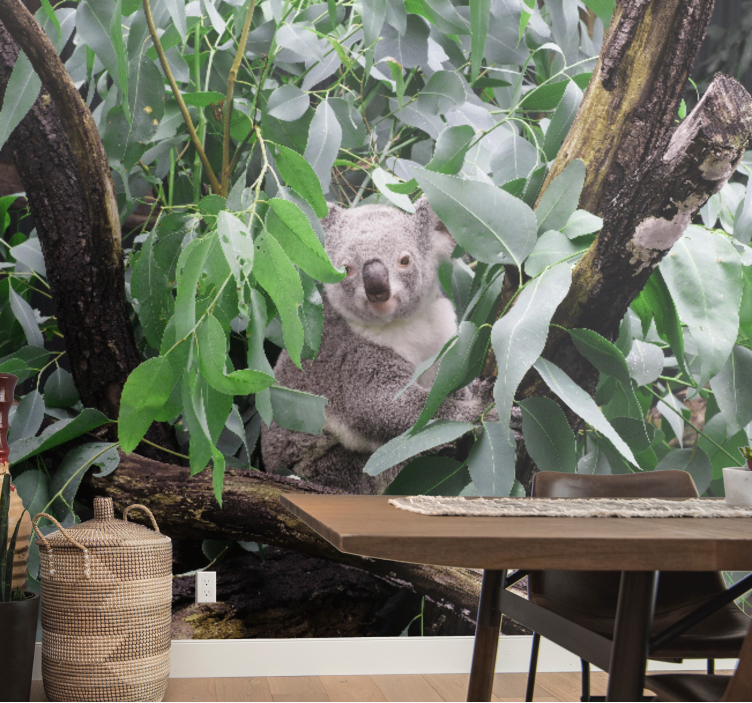 Animal wall mural koala among leaves - TenStickers
