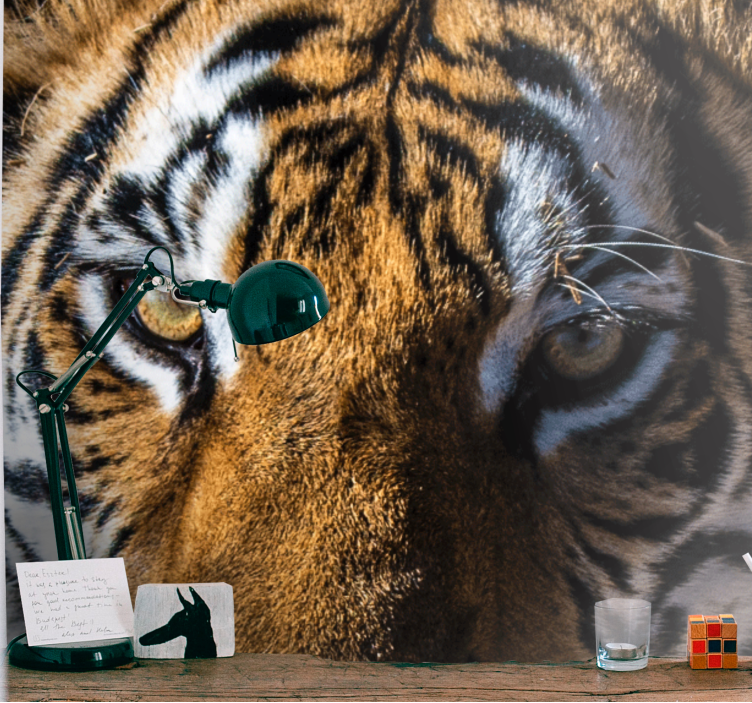 Animal wall mural magnificent tiger close-up - TenStickers
