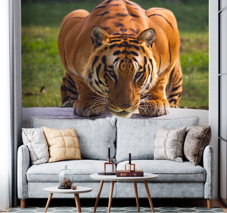 Animal wall mural regal tiger pose - TenStickers