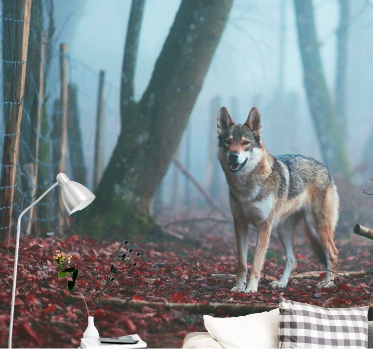 Animal wall mural wolf in misty forest - TenStickers