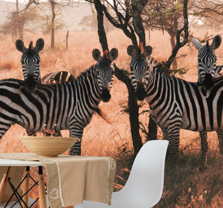 Animal wall mural zebras in nature - TenStickers