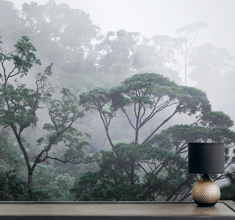 Big trees on a foggy day Forest Wall Mural - TenStickers