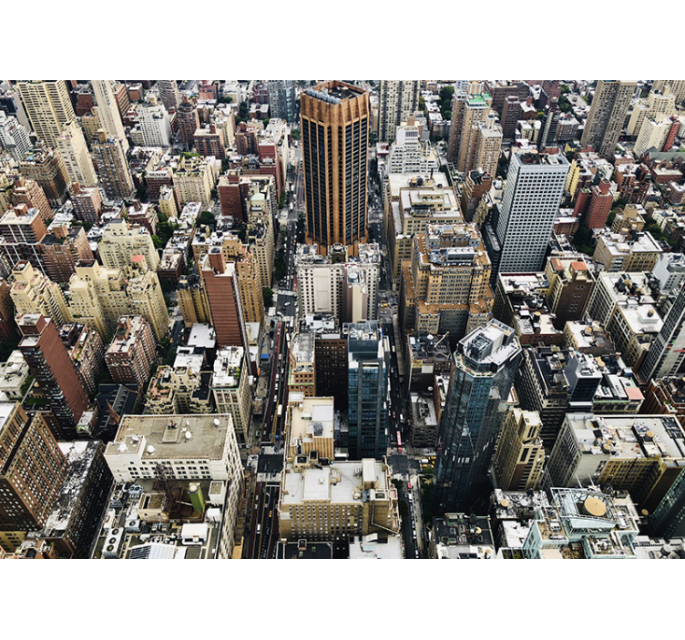 City wall mural aerial cityscape overview - TenStickers