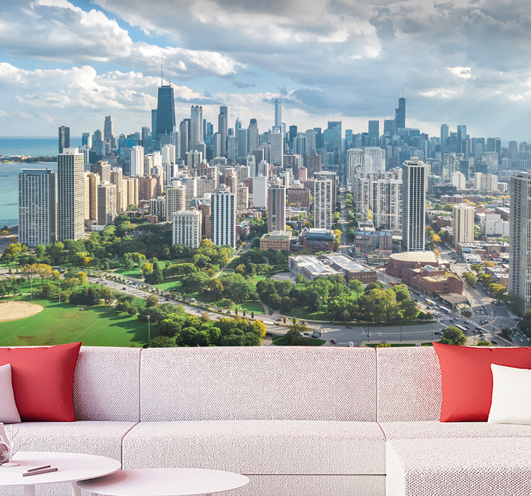 City wall mural Chicago City and Lincoln park - TenStickers