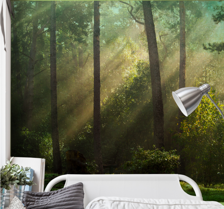 Forest wall mural enchanting forest scene - TenStickers