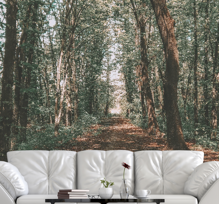Forest wall mural serene woodland trail - TenStickers