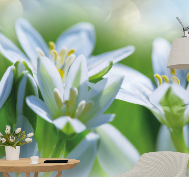 Gentle white blossoms flower wall mural - TenStickers