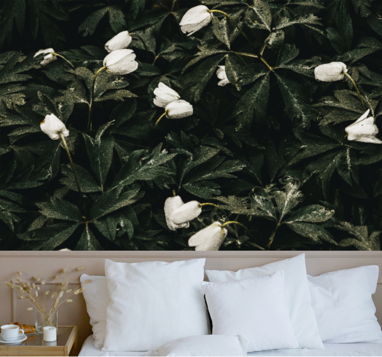 Gentle white flowers flower wall mural - TenStickers