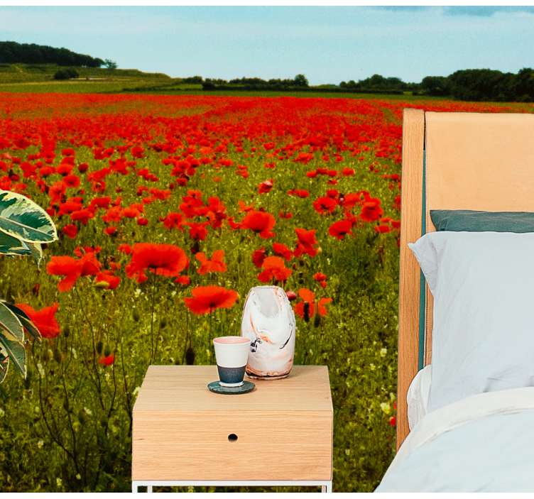 Long poppy field Poppy Wall Mural - TenStickers