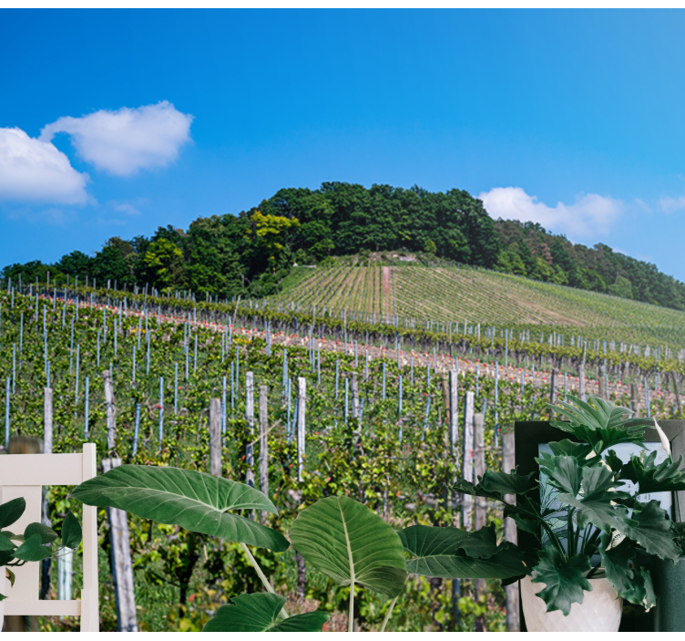 Lush Vineyard Hills landscape wall mural - TenStickers