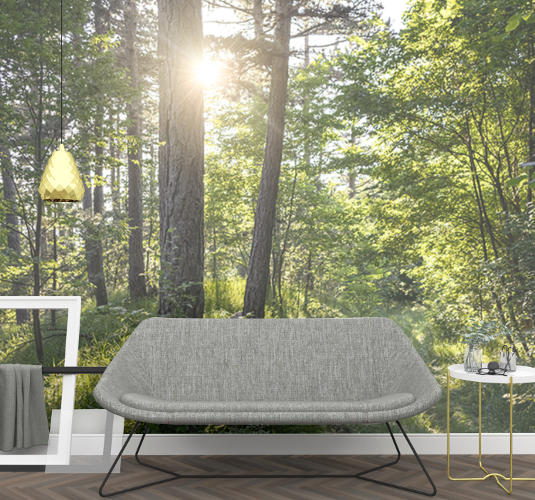 Nature wall mural luminous forest path - TenStickers