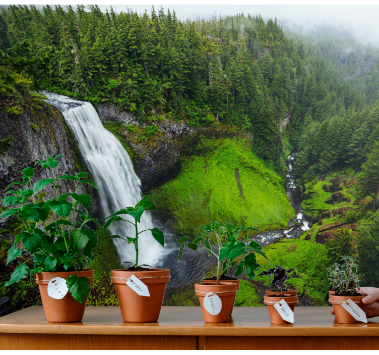 Nature wall mural lush green waterfall - TenStickers