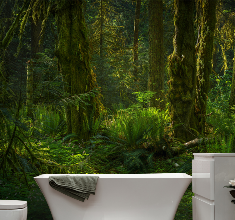 Nature wall mural serene forest escape - TenStickers