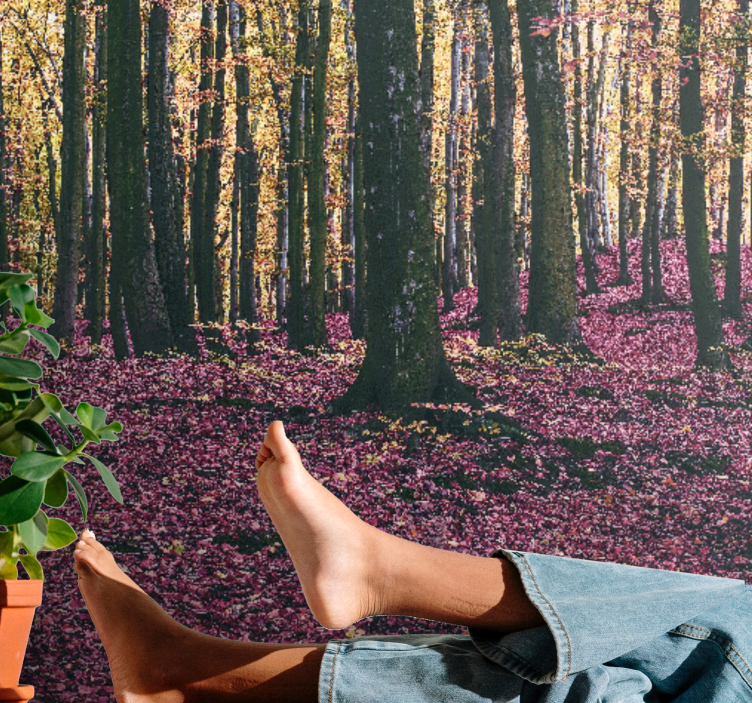 Nature wall mural serene forest landscape - TenStickers