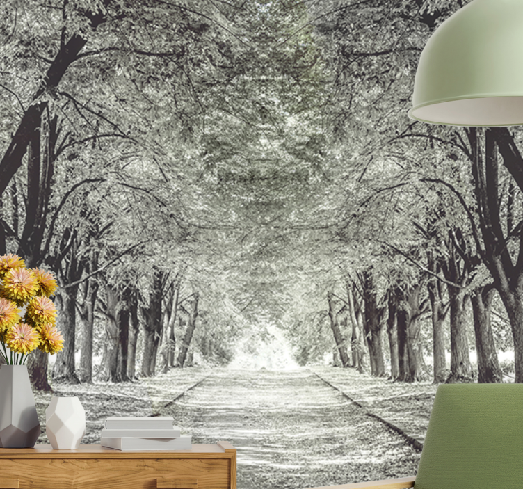 Path with trees Forest Wall Mural - TenStickers