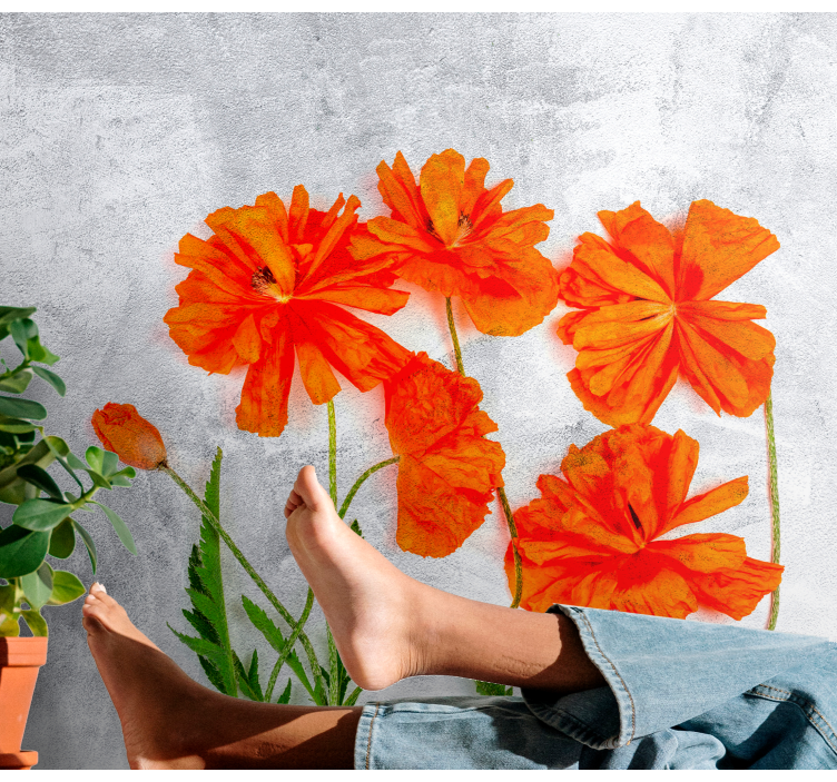 Poppy wall mural orange poppy blossoms - TenStickers