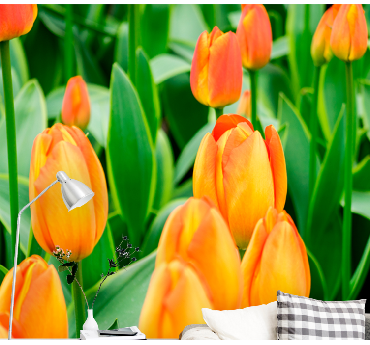 Tulip wall mural tulip blooms in abundance - TenStickers