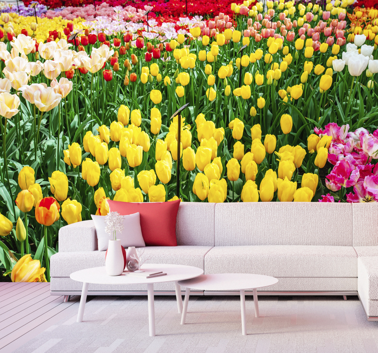 coloured Tulips flower wall mural - TenStickers