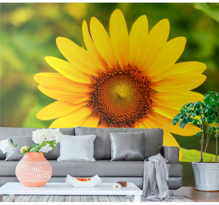 Vibrant sunflower bloom flower wall mural - TenStickers