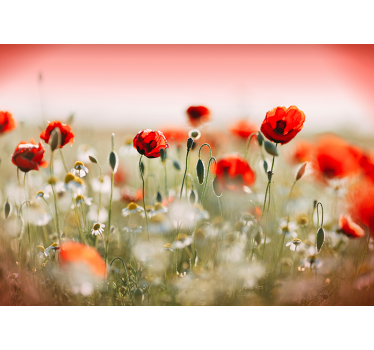 Poppy field Wallpaper Photo - TenStickers