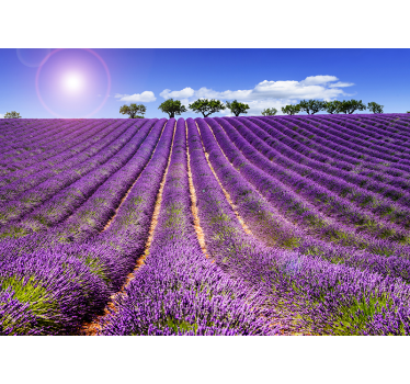 Lavender field mural wallpaper - TenStickers