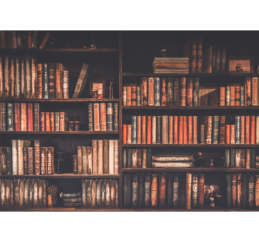 Vintage BookShelf mural - TenStickers
