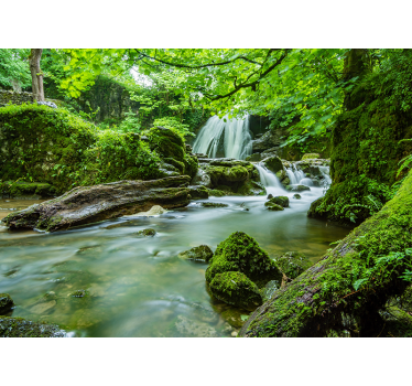 Nature wall mural tranquil woodland brook - TenStickers