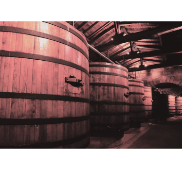 Large old wine barrels vintage mural - TenStickers