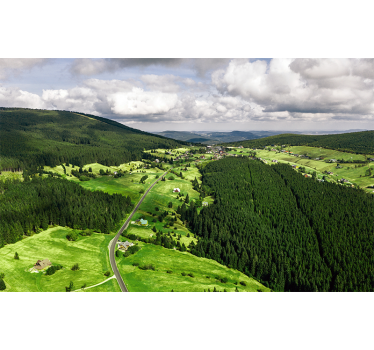 Polish meadows mountain mural - TenStickers