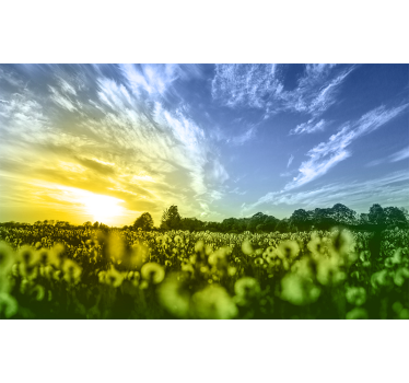 Twilight Blossom Meadow flower wall mural - TenStickers