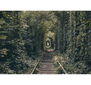 Pathway in a arch of tree nature murals - TenStickers