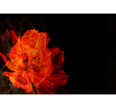 Fiery floral burst flower wall mural - TenStickers